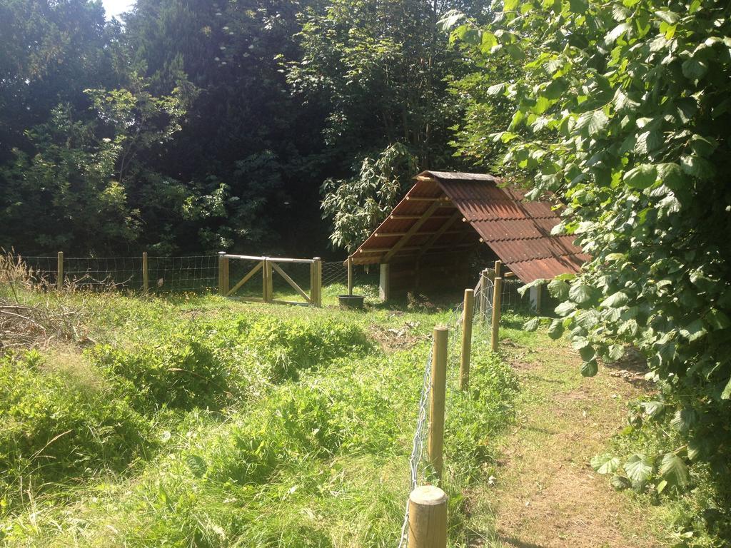 Frorup Kildegaarden Bed & Breakfast المظهر الخارجي الصورة